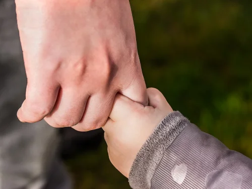 Juno Aslan Duygusal Yakınlık Ve Partner Uyumu