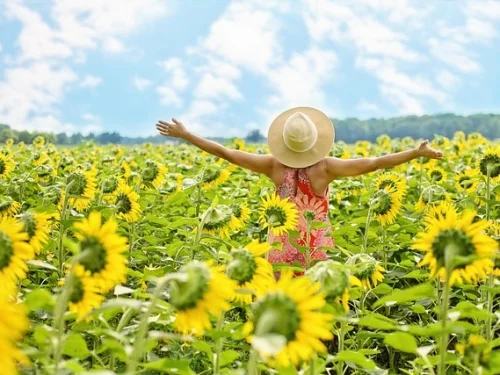 Juno Boğa Sadakat Odaklı İlişkiler Ve Eşleşme